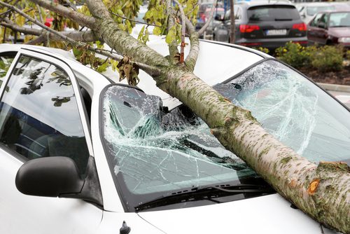 Phoenix, AZ – Auto Crash on 32nd St near Baseline Rd Injures Four Kids